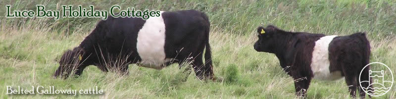 self catering holiday cottages in Dumfries & Galloway, Scotland