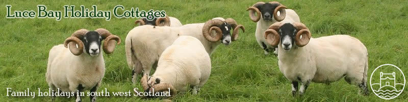 family holiday activities in south west Scotland